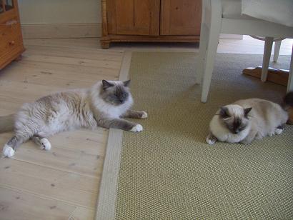 Här är jag med min kompis Viggo